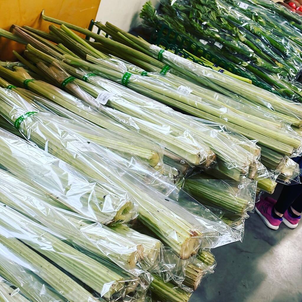 かのな 恵庭農畜産物直売所かのな (@kanona_eniwa) / Posts / X