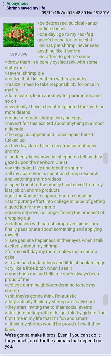 CaseyLucas's tweet image. Anon quits Xanax to support shrimp spending, turns life around