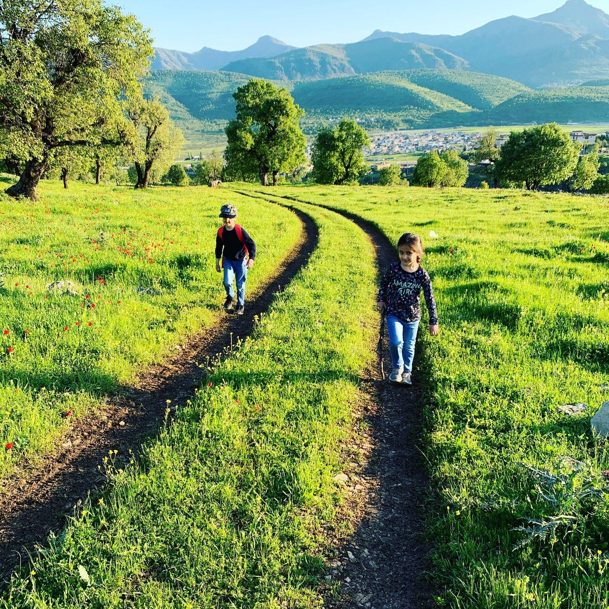 This Barzan in kurdistan