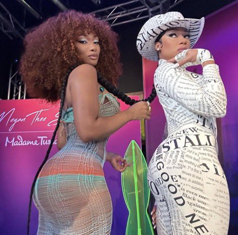 Daily Loud on Twitter: "Megan Thee Stallion poses with her new wax