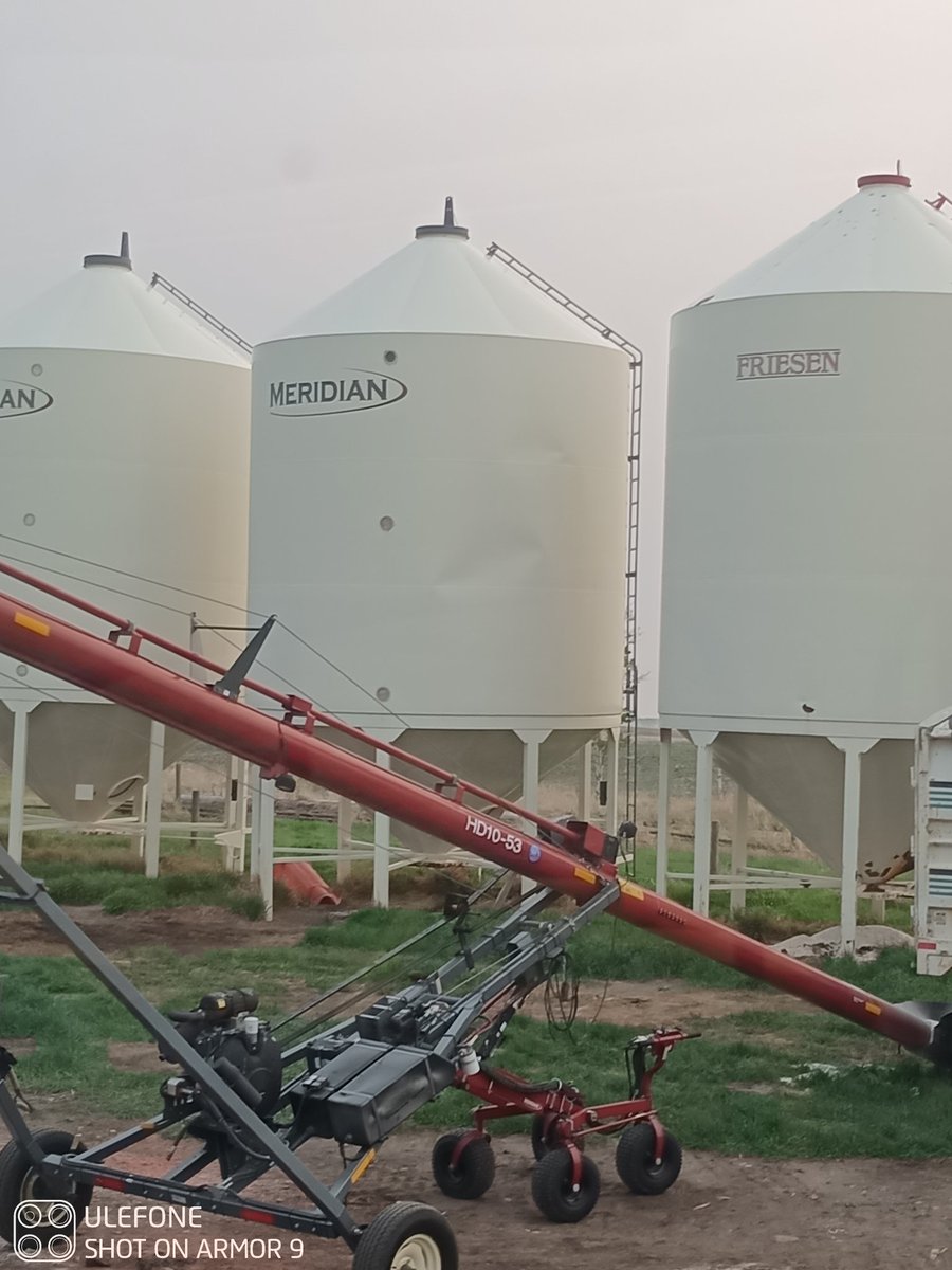 Joe Widdup tweet media