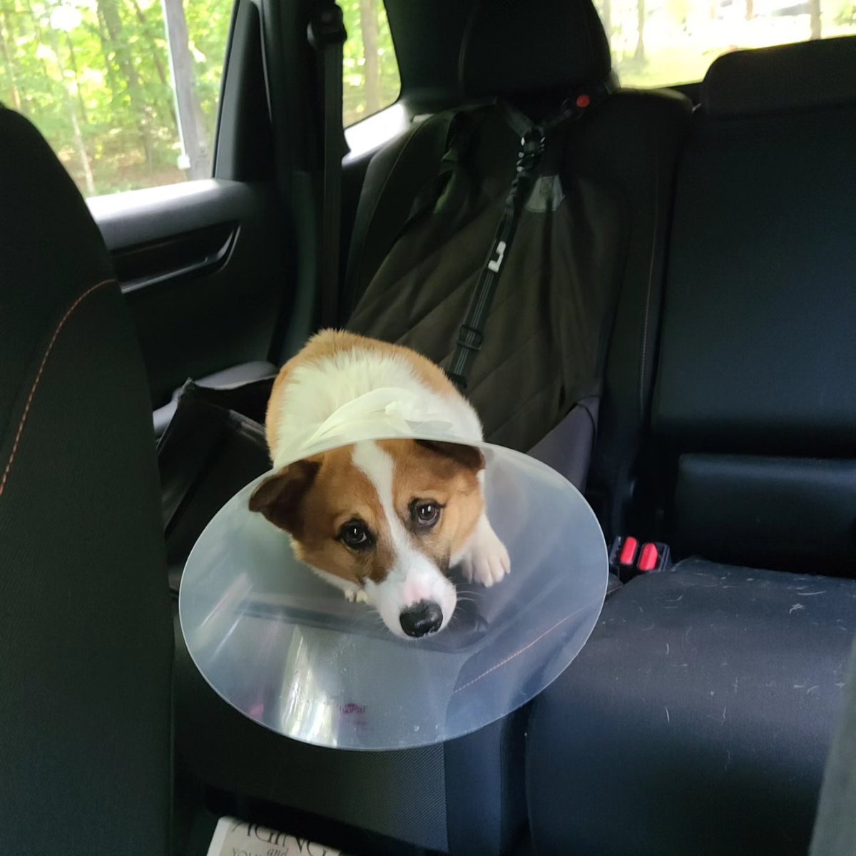 pshawlsphats's tweet photo. @Blazespage https://t.co/WyqiQ8nHoj