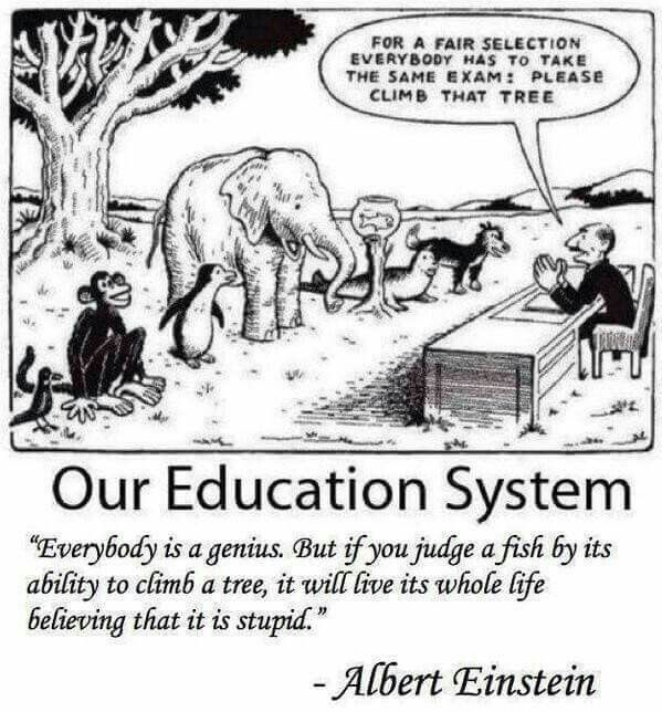 In the academic realm, I often witness the struggle of individuals being measured against criteria that fail to capture their true intellectual brilliance. Let's embrace the fact that we all possess unique talents and strengths. By creating an environment that celebrates diverse