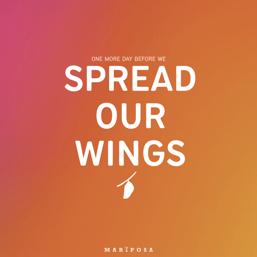 MariposaPSHS's tweet photo. https://t.co/U8M2AwPKxg