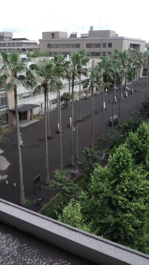 11年前の今日。大学に灰が積もっている様子。