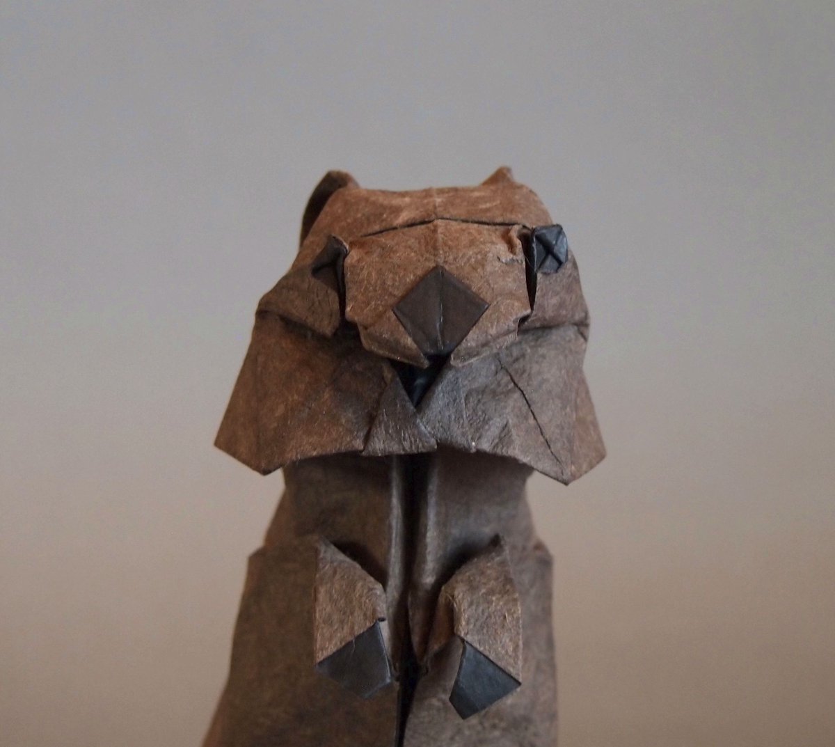 OrigamiBrasil's tweet photo. RT @kobashi6: 【クアッカワラビー】
創作・折り：一匹柴犬

トイプーの感じで他にも作れそうと思い、前から作りたかった幸せそうな動物を

#折り紙　#折り紙作品　#origami https://t.co/VAGIM6yvYC