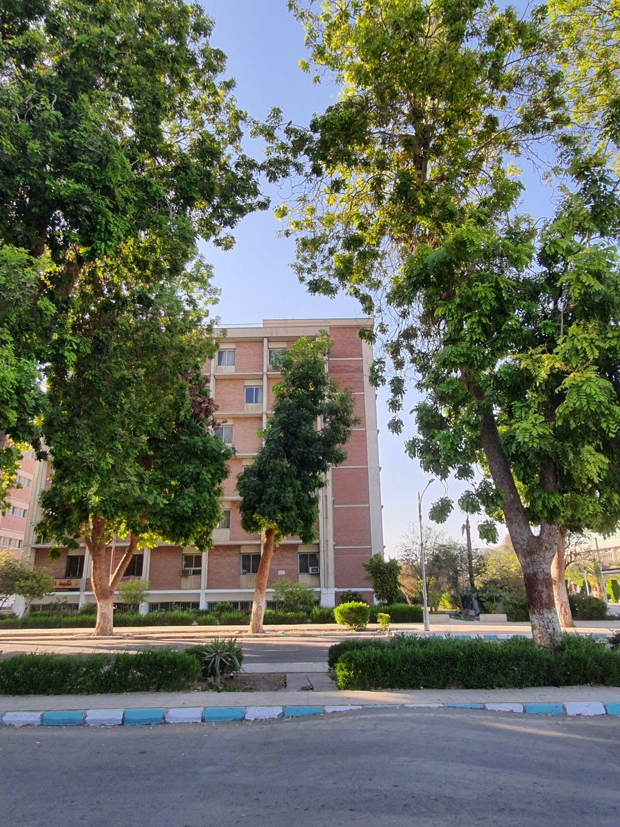 Khloudeissa1's tweet photo. تألق شجر جامعة اسيوط💚 https://t.co/a1LhRmwbba