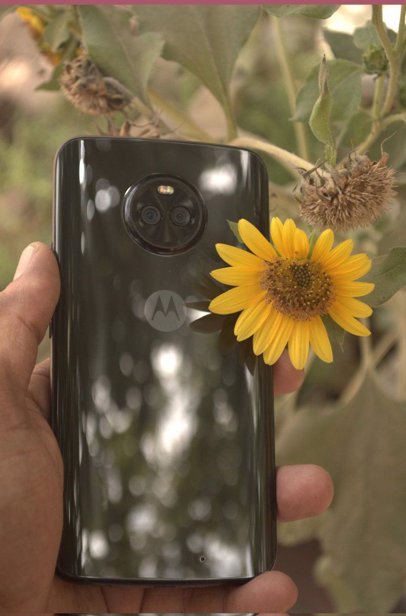 patel_grv's tweet photo. #MotoX4 was an awesome phone with an Excellent Camera...
See Photo & Photographer
#HelloMoto #Motography #Motographer https://t.co/zH2At0TV7M