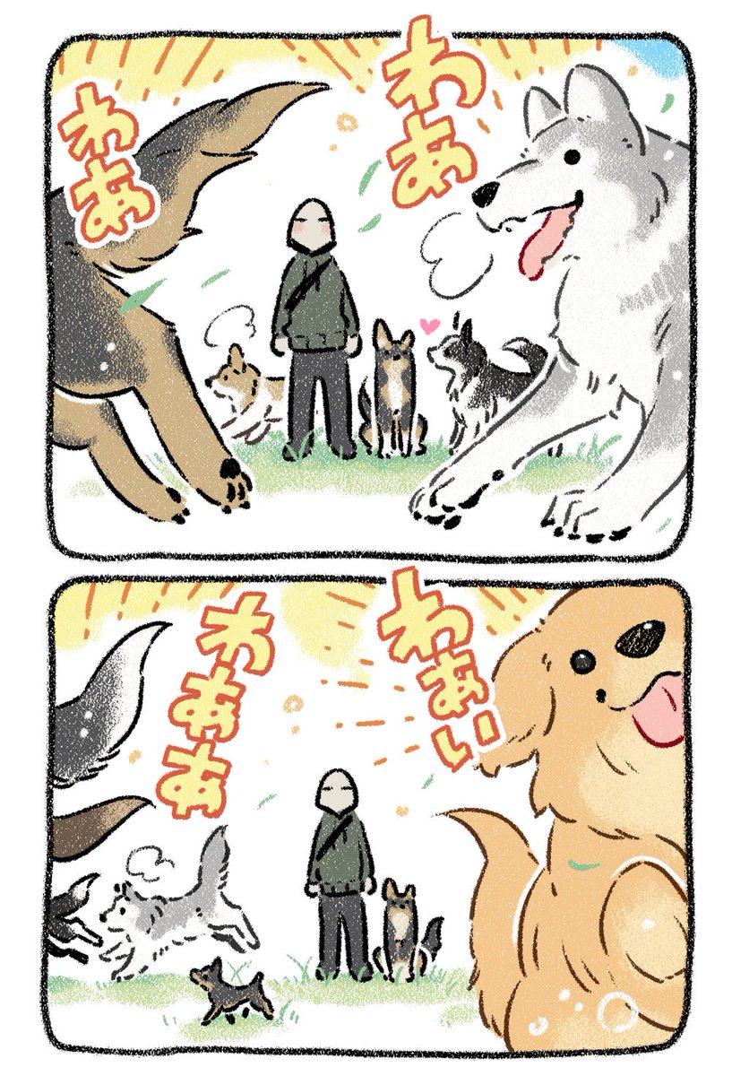 ドッグラン?何それ美味しいの?? #漫画が読めるハッシュタグ #犬