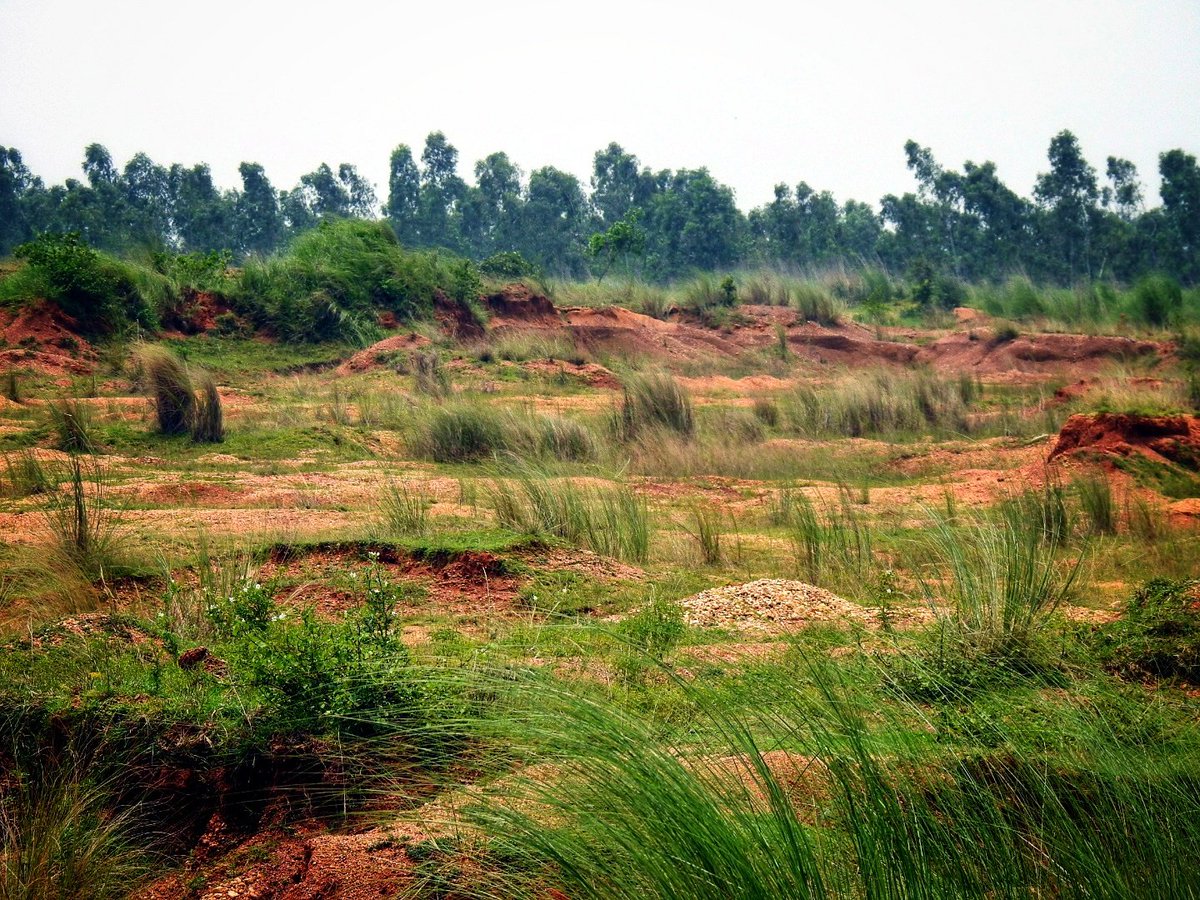 mygeograph82328's tweet photo. #Laterite_Soil_Zone in #India #Durgapur one of the major soil type in India
covered with #tropical_deciduous_trees
#ClimateActionNow #NaturePhotography 
#ruben #explorer #nikonphotography 
#Indian_monsoon https://t.co/ZMSqfHsqDk