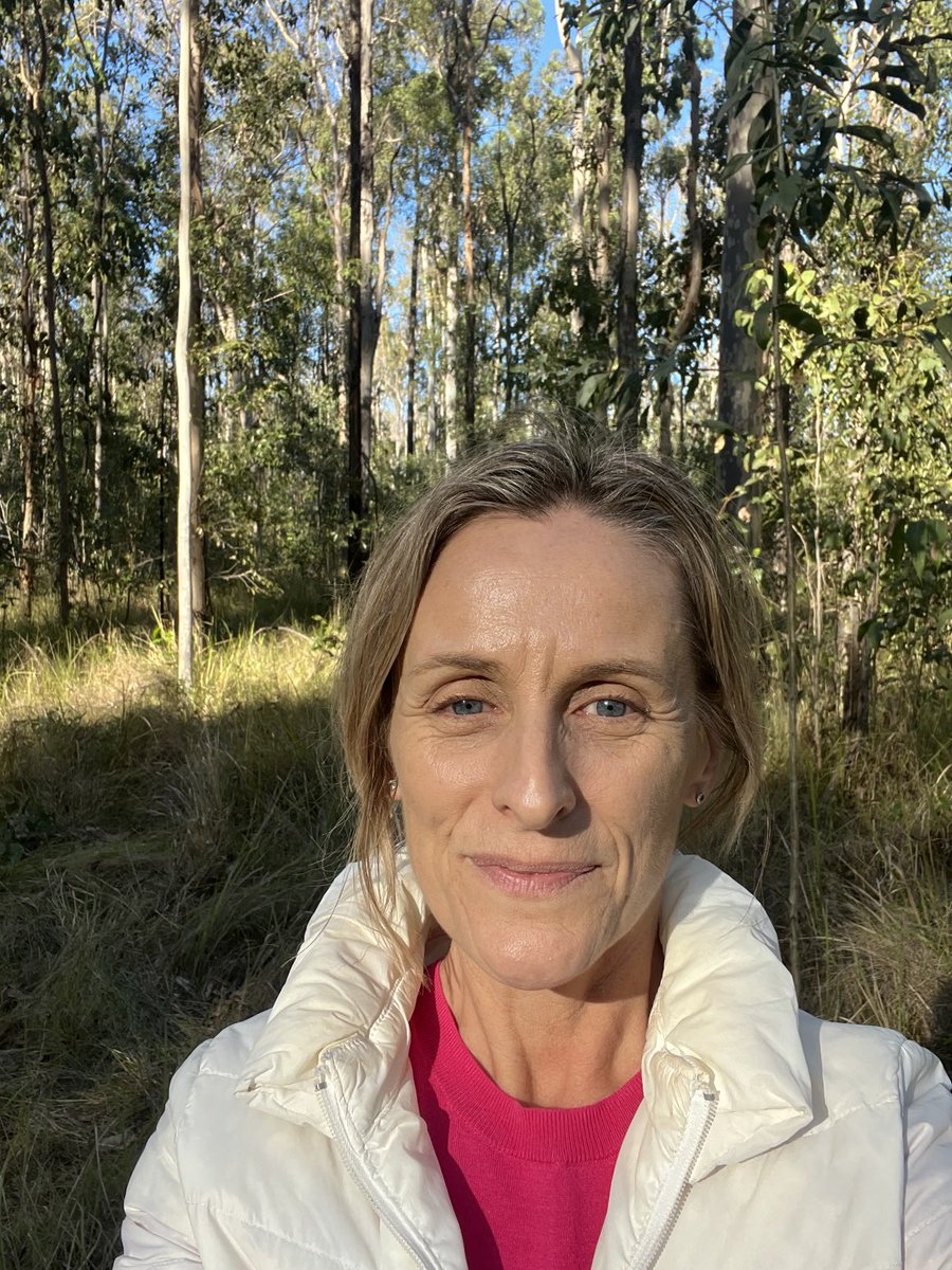 SueHigginson_'s tweet image. This is Braemar State Forest. The NSW Govt is about to log it. It’s koala habitat &amp;amp; koalas live here (only just). Around 70% of the koala population was wiped out by the19/20 black summer fires! They’ll be extinct 2050. It’ll cost taxpayers to log it. #koalas #extinction #nswpol
