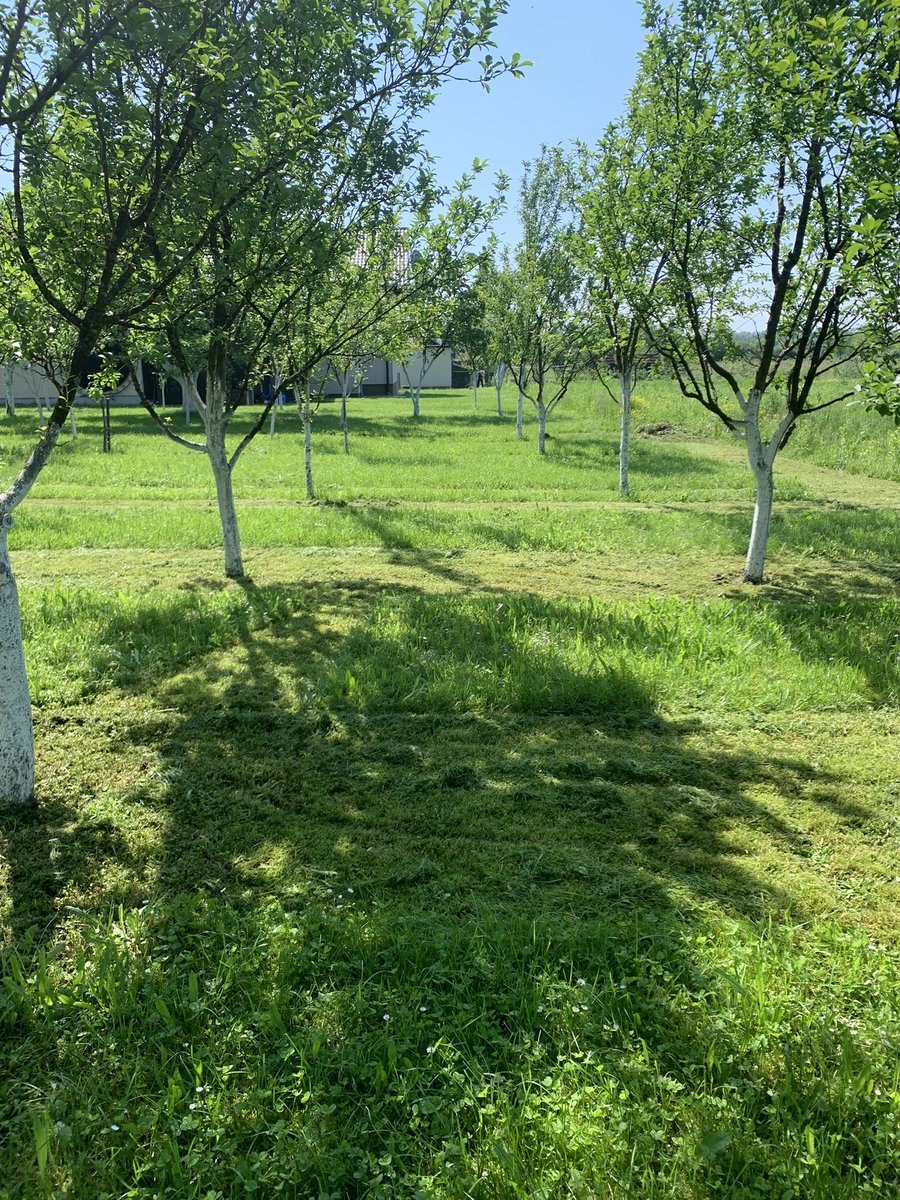 There are always two options in life;
To be good or bad?
Choice is yours, you have to decide.
Been good never gives you headaches and you can sleep peacefully at night.