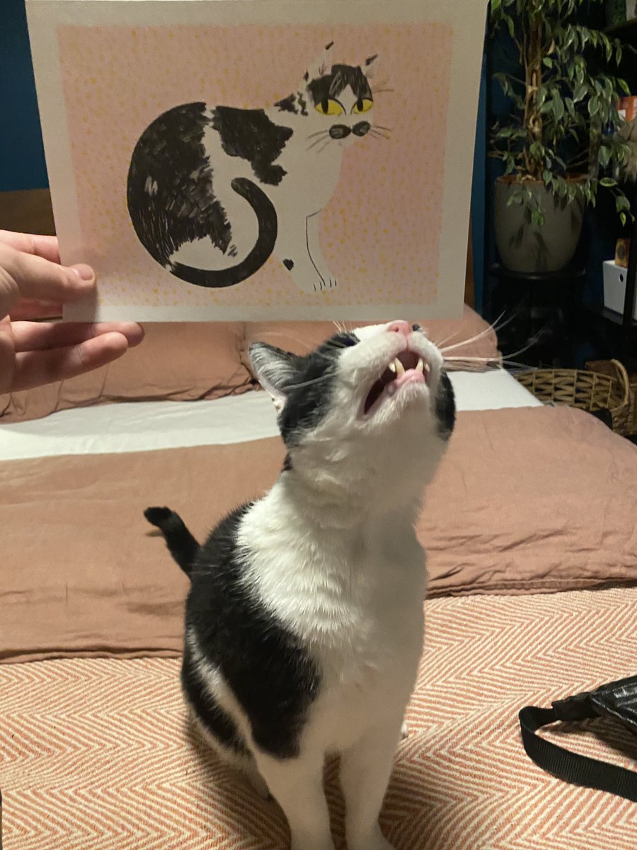 ????? what is this????? art imitating life??????