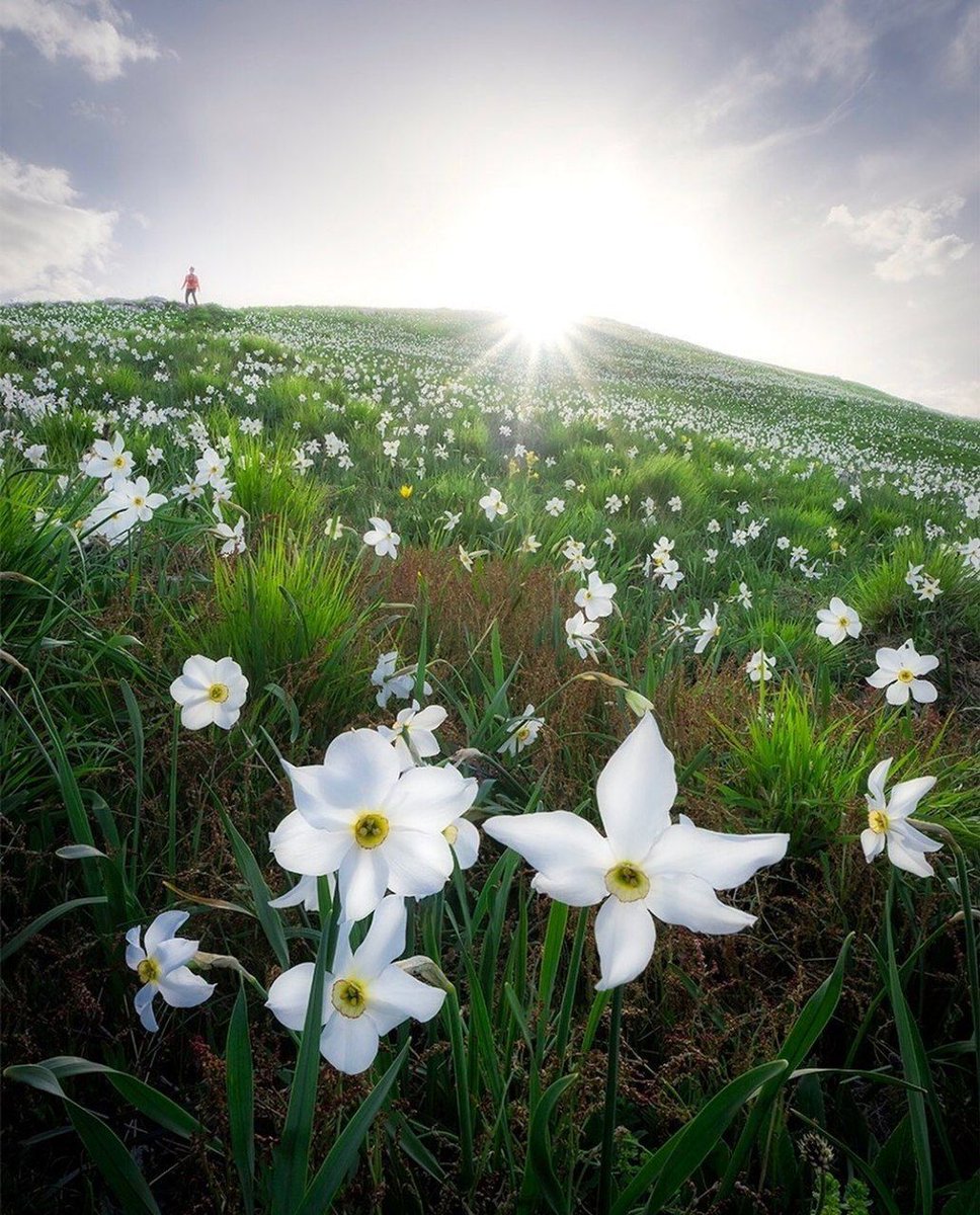 IgersItalia® tweet media