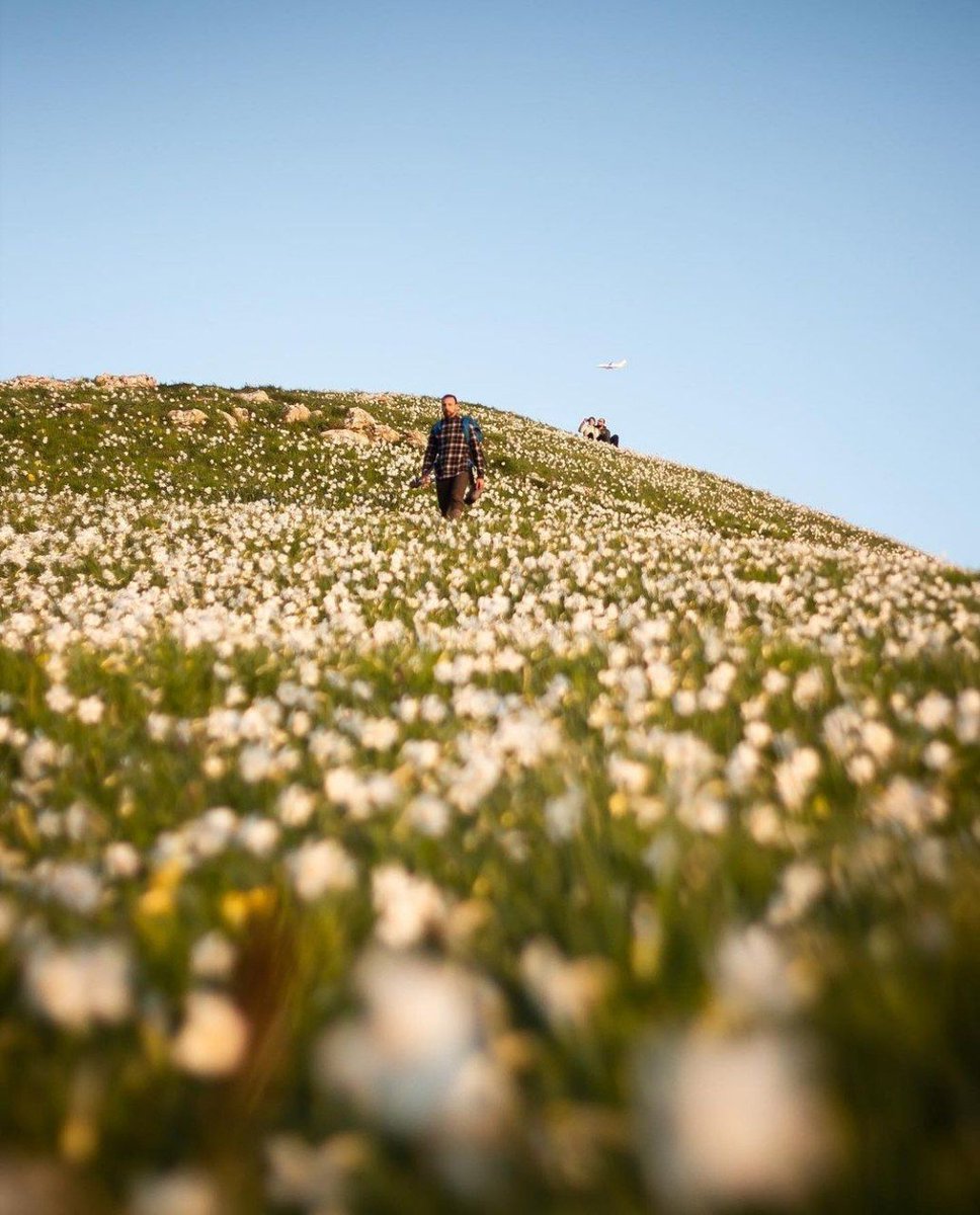 IgersItalia® tweet media