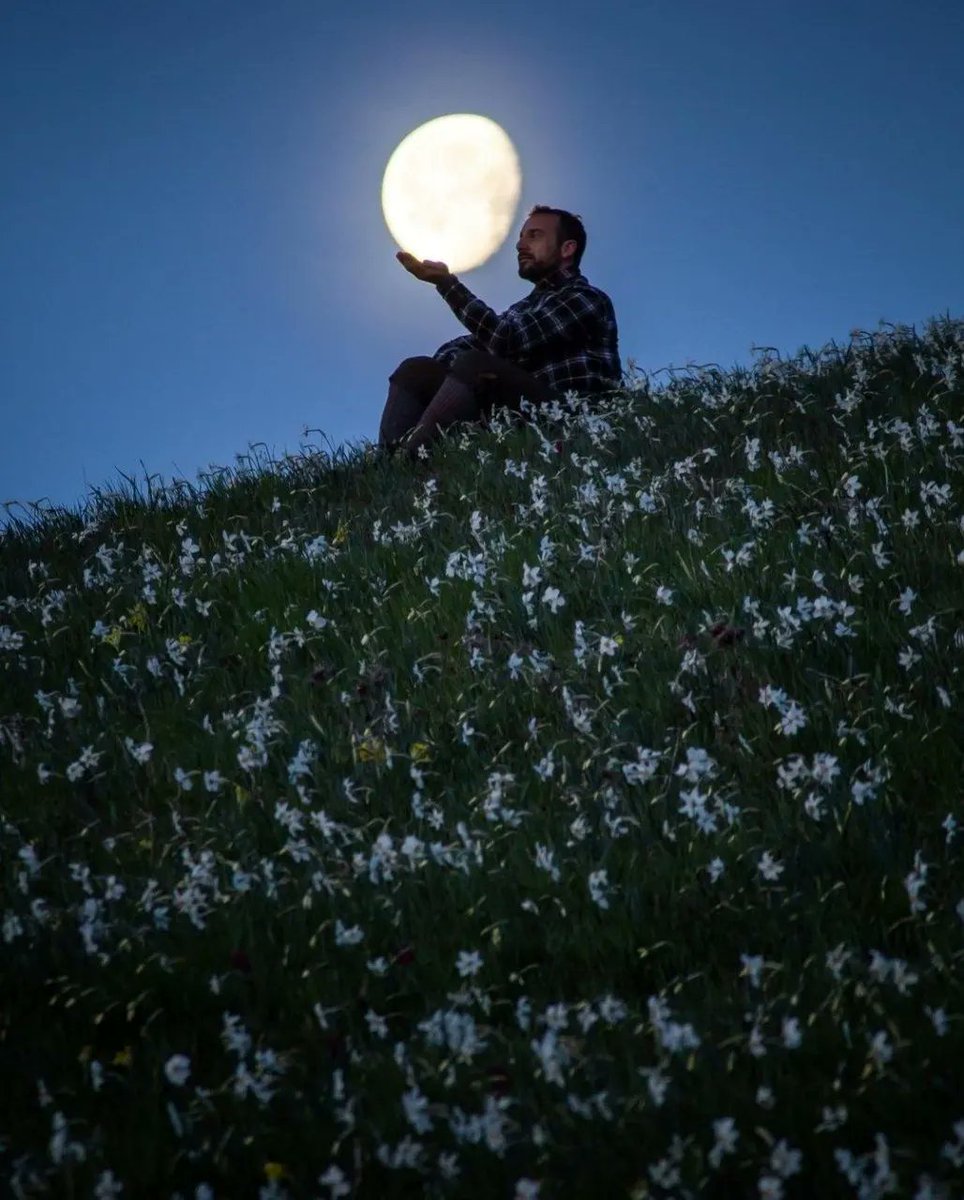 IgersItalia® tweet media