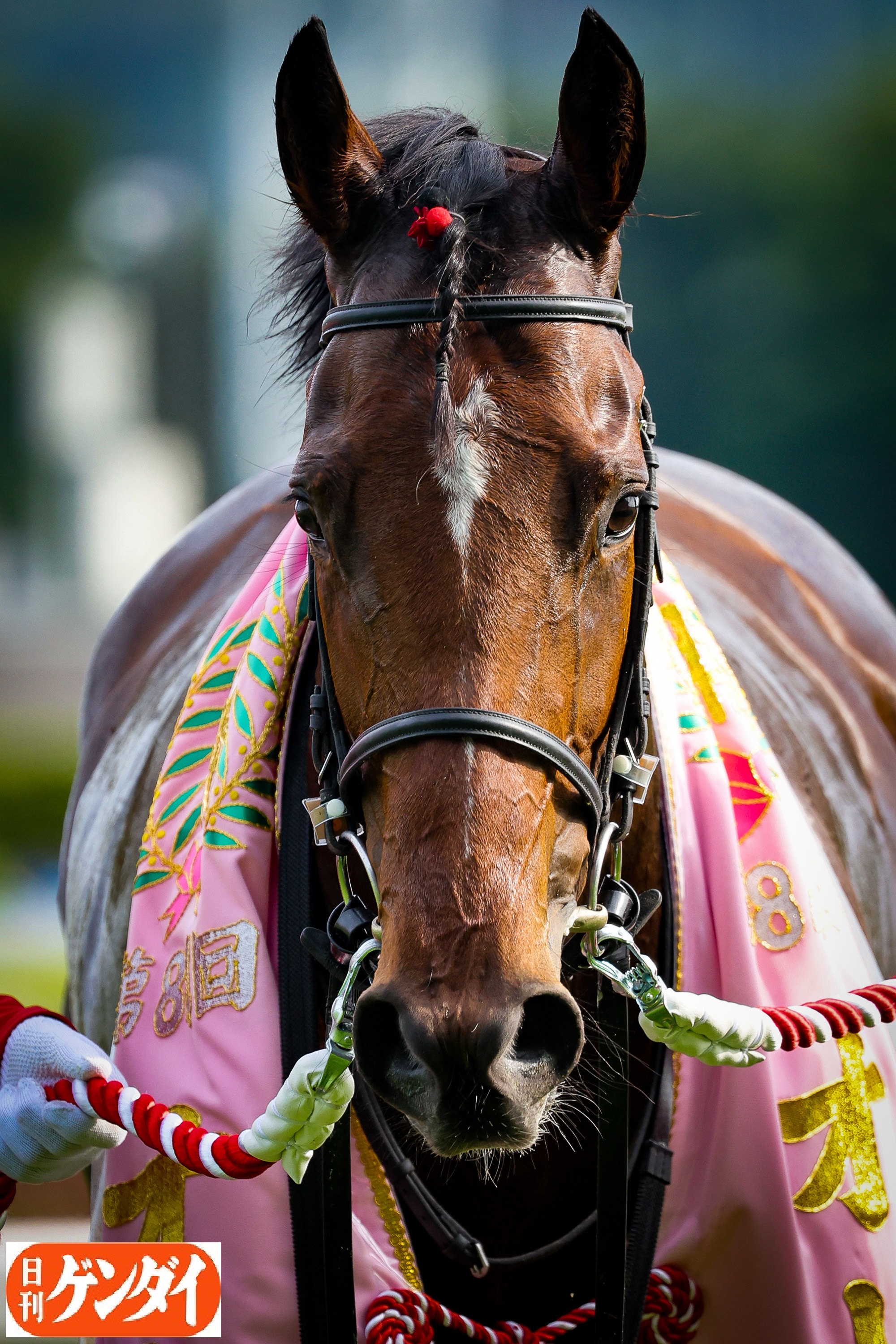 京都記念見どころ】オークス馬ラヴズオンリーユーが巻き返しを