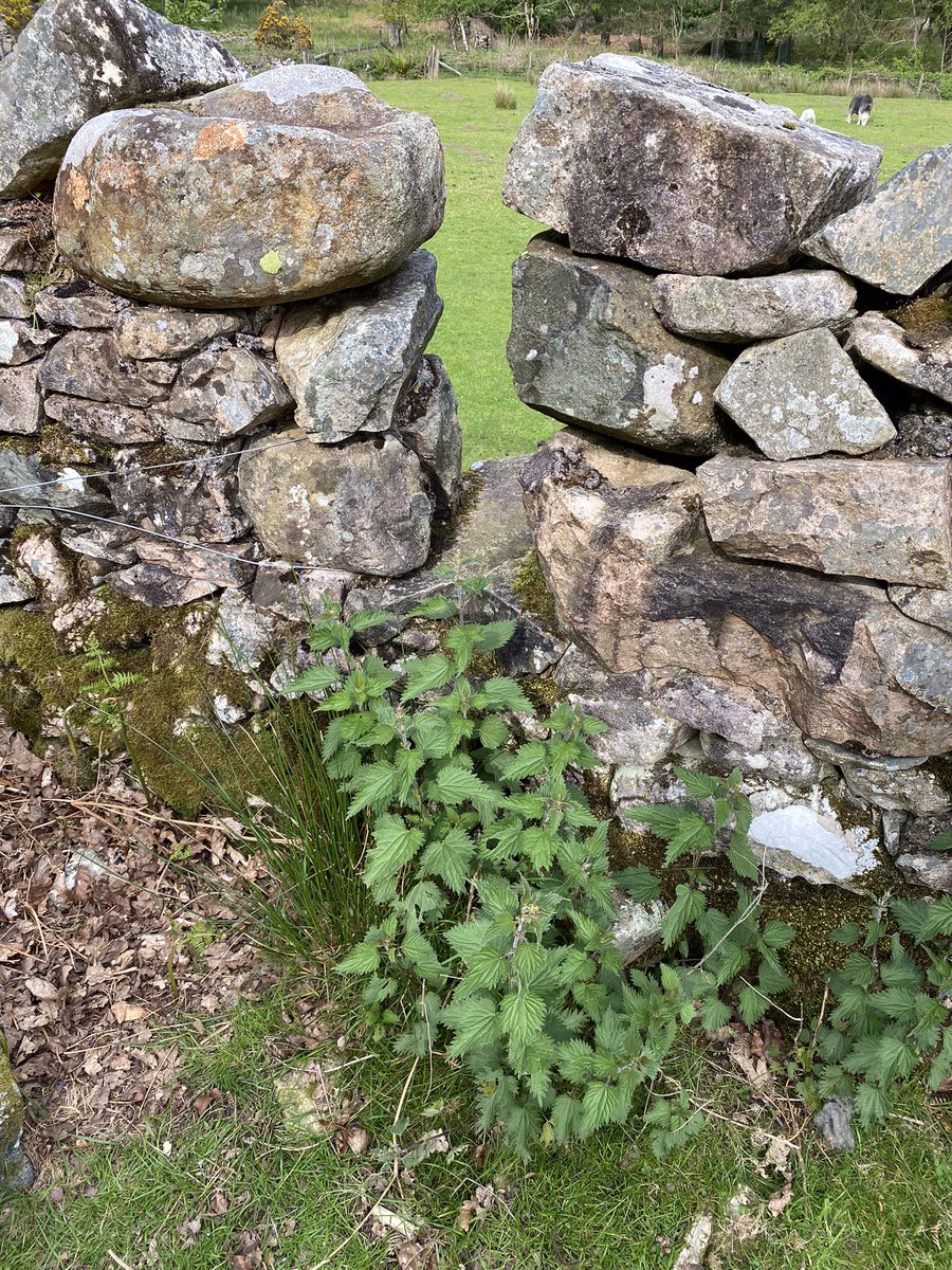 Duncan Pollard tweet media