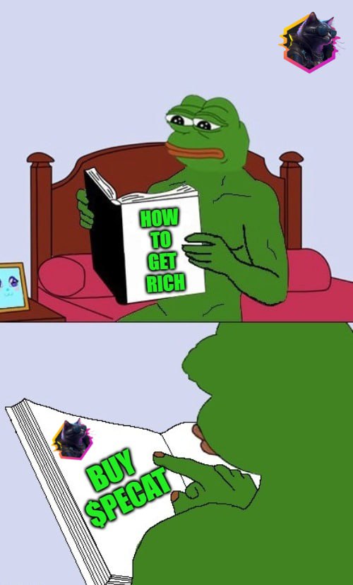 💓Hey PepeCat community,
💲Today, I will reveal to you a simple and effective method to achieve wealth.

⚡️Catch your chance now because the Presale is only left with a little over 1 day.

📣 DM t.me/pepecat_whitel… now to secure your WL spot.

#PEPECAT  #PECAT #BSC #crypto