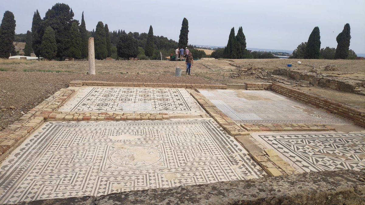 Itálica, y sus mosaicos. 
#patrimonioandaluz
Buongiorno 🌞