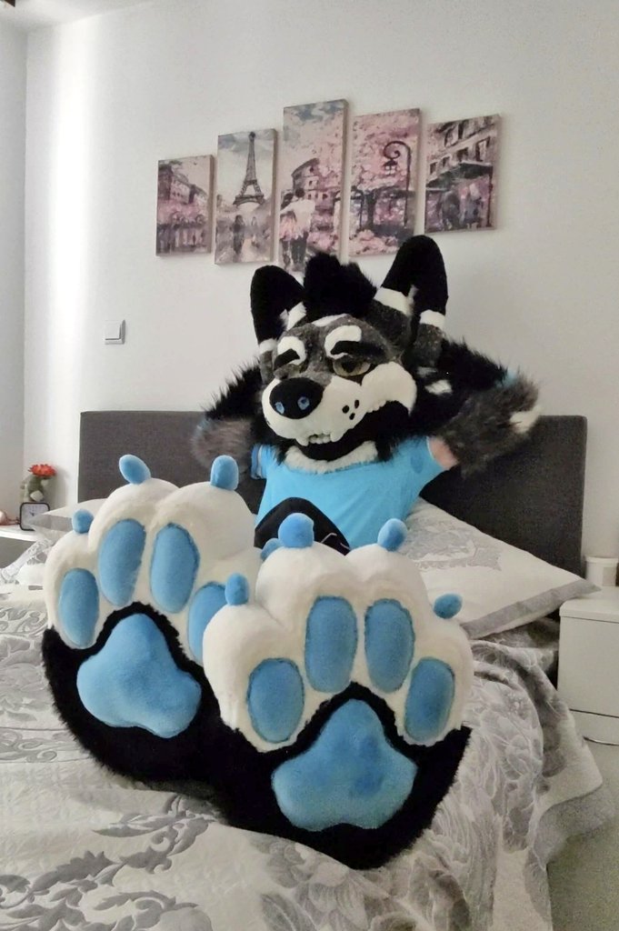 So I heard it's #PawDay 🐾✨