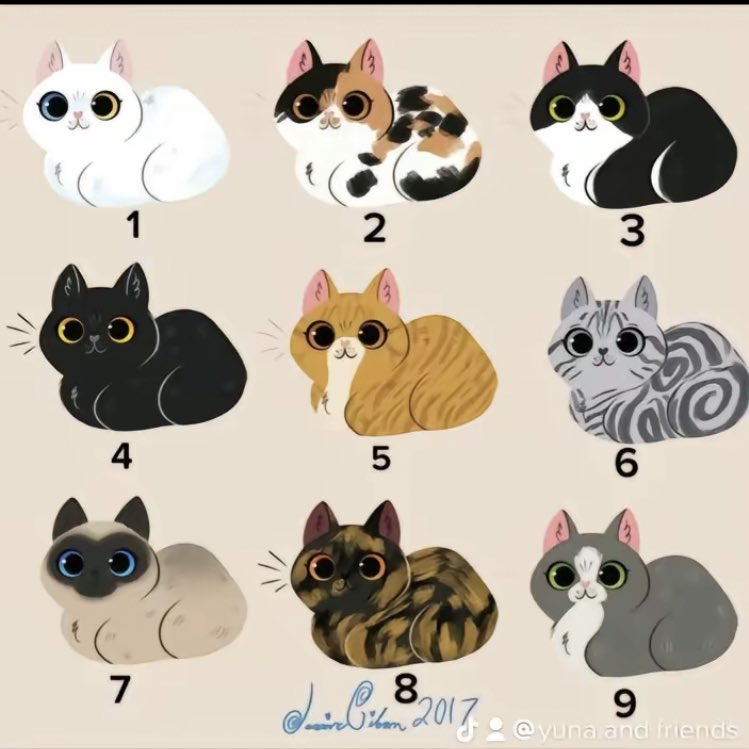kochengfs's tweet photo. 🐈‍⬛ Kucing kalian yg mana gais? https://t.co/3XcaHfe5aO