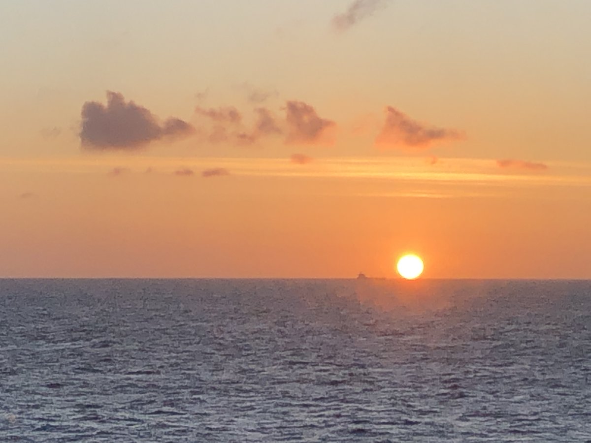 Rugvin's tweet photo. Eerste walvistocht van 2023 door Stichting Rugvin met Holland Norway Lines https://t.co/JtMP95xjdf https://t.co/je4g0apUq4