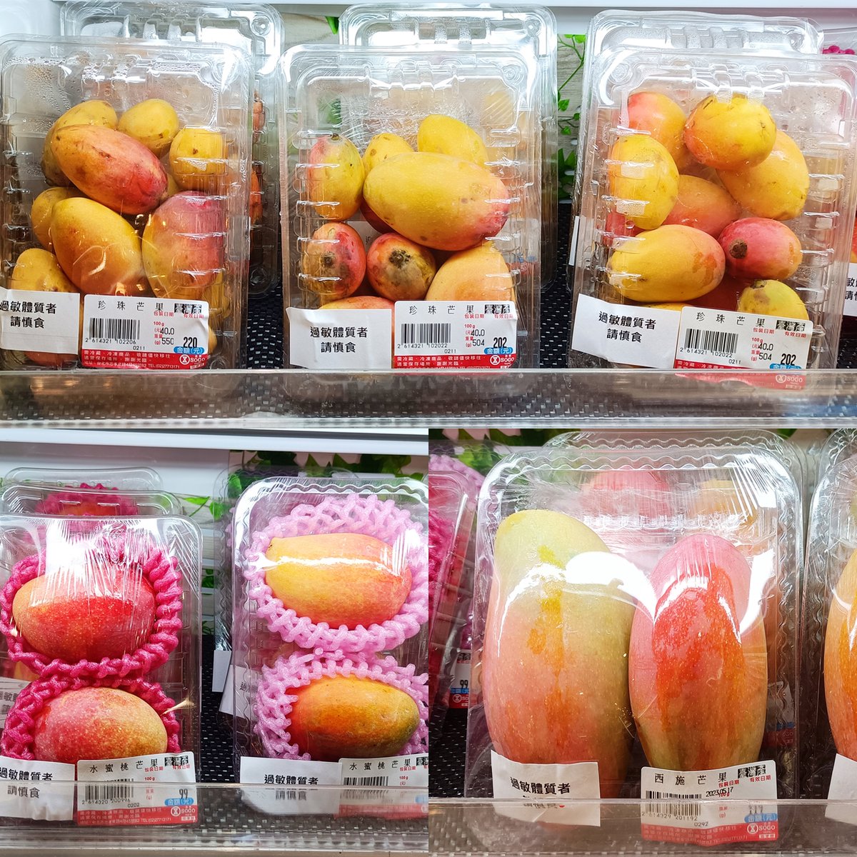 【台湾フルーツ真っ盛り】 台湾の果物を楽しむなら、果物屋さんもいいですが、デパートの中にあるスーパーもおすすめです 見たことも聞いたこともない新種のマンゴーに出逢えたり、旬のフルーツをいち早く買えますよ この時期の台湾は夏の台湾フルーツ好きには天国だと思い
