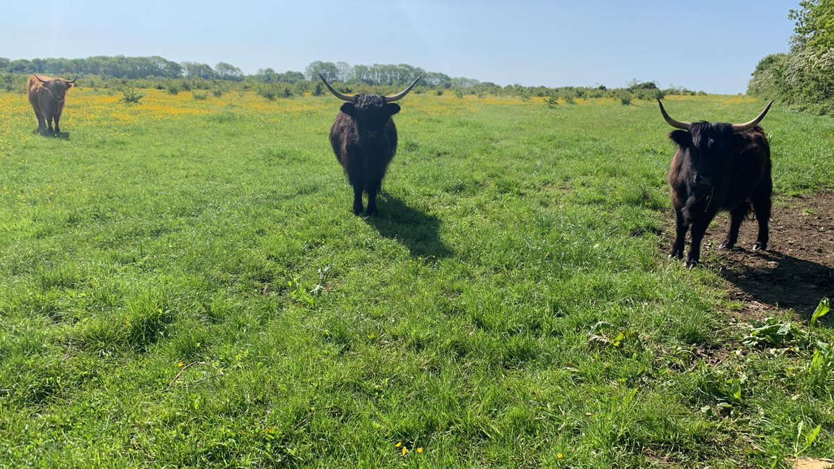 Meeting friends in the fields #BronzeDofE #ForTheAdventurous