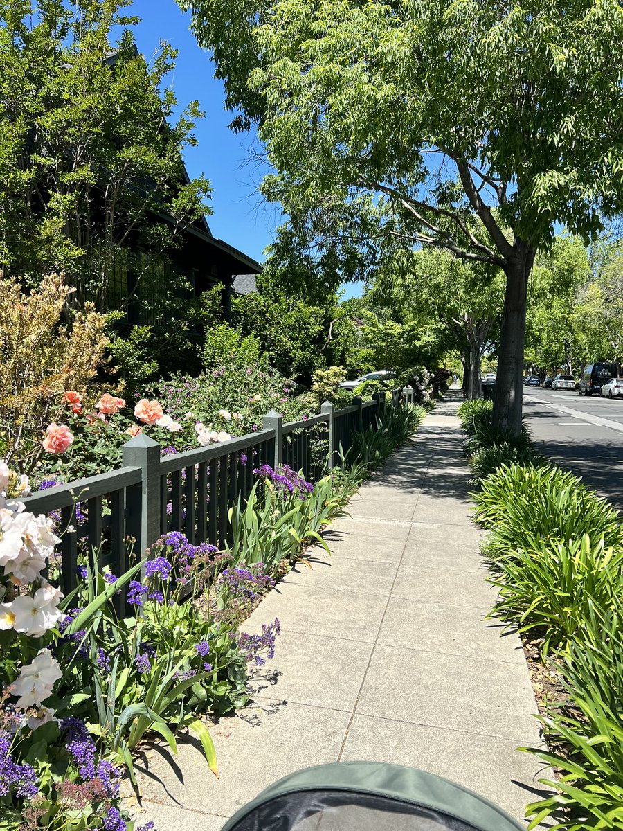 Shirline O. tweet media