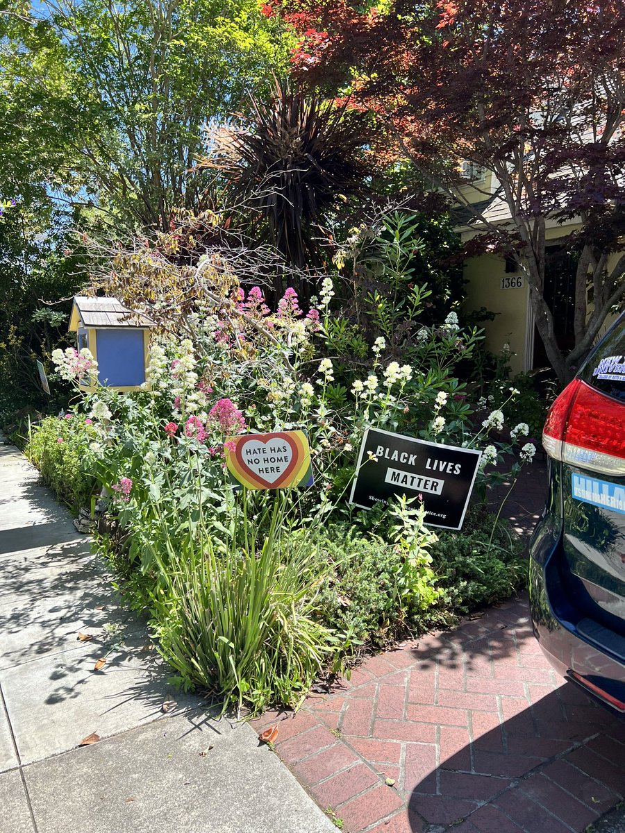 Shirline O. tweet media