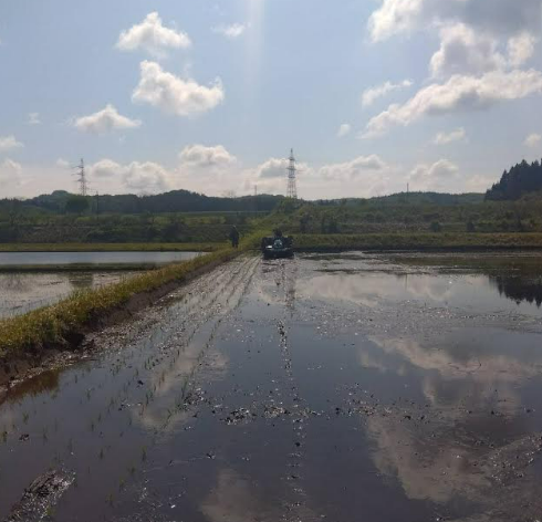 今更ですが
田植えの風景。

  #バイク乗りとして軽く自己紹介 #バイク乗りと繋がりたい #バイク好きと繋がりたい #バイクのある生活 #SPPN #ハーレー #MUTT #レブル #チョッパー