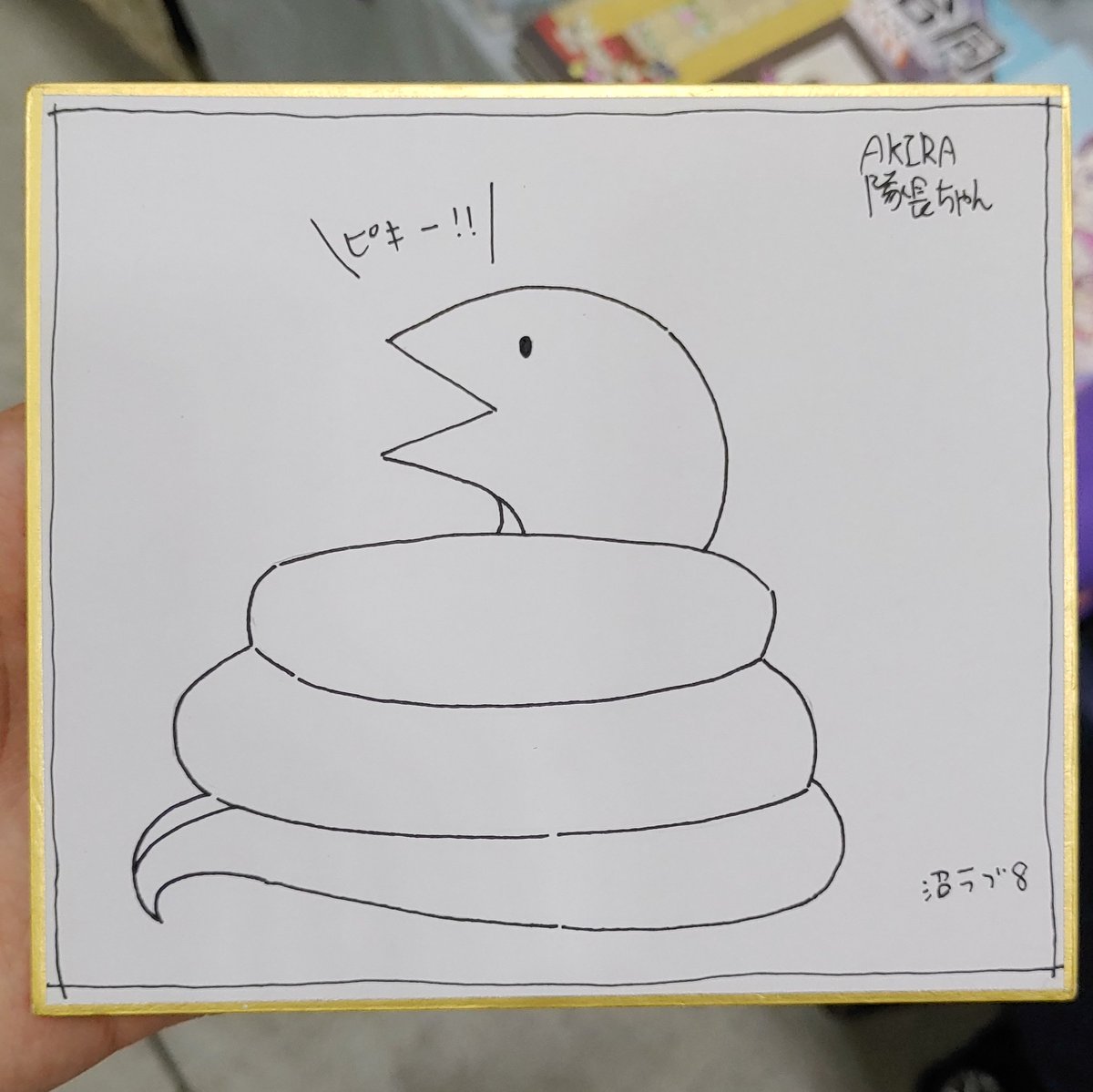 色紙が増えたよ