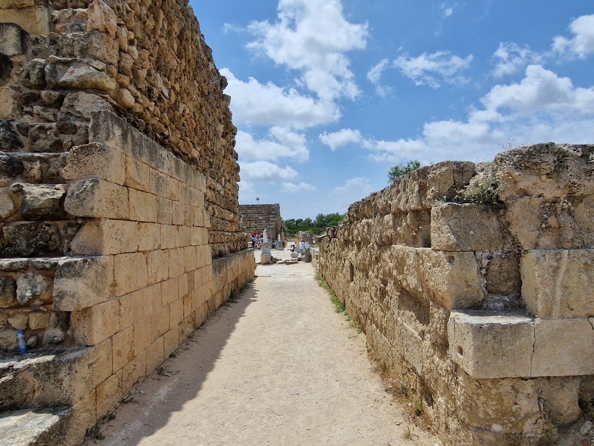 Ok let's start the tour of Salamis in lovely Cyprus with the Palaestra and theatre! The latter was twice the size as built! @UniKent @ArtsHumsUniKent @kentiquity @BAR_Publishing @AncientRomeLive @ancientstristan @cairobill @Archaeology_tea