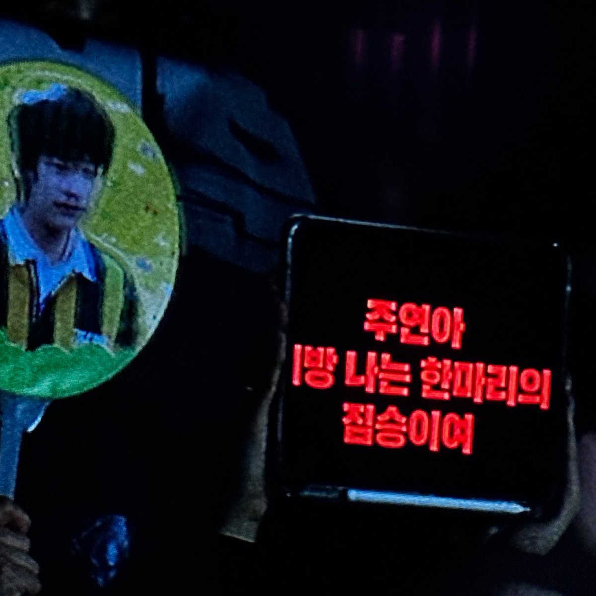 Best memories captured in any qualities.