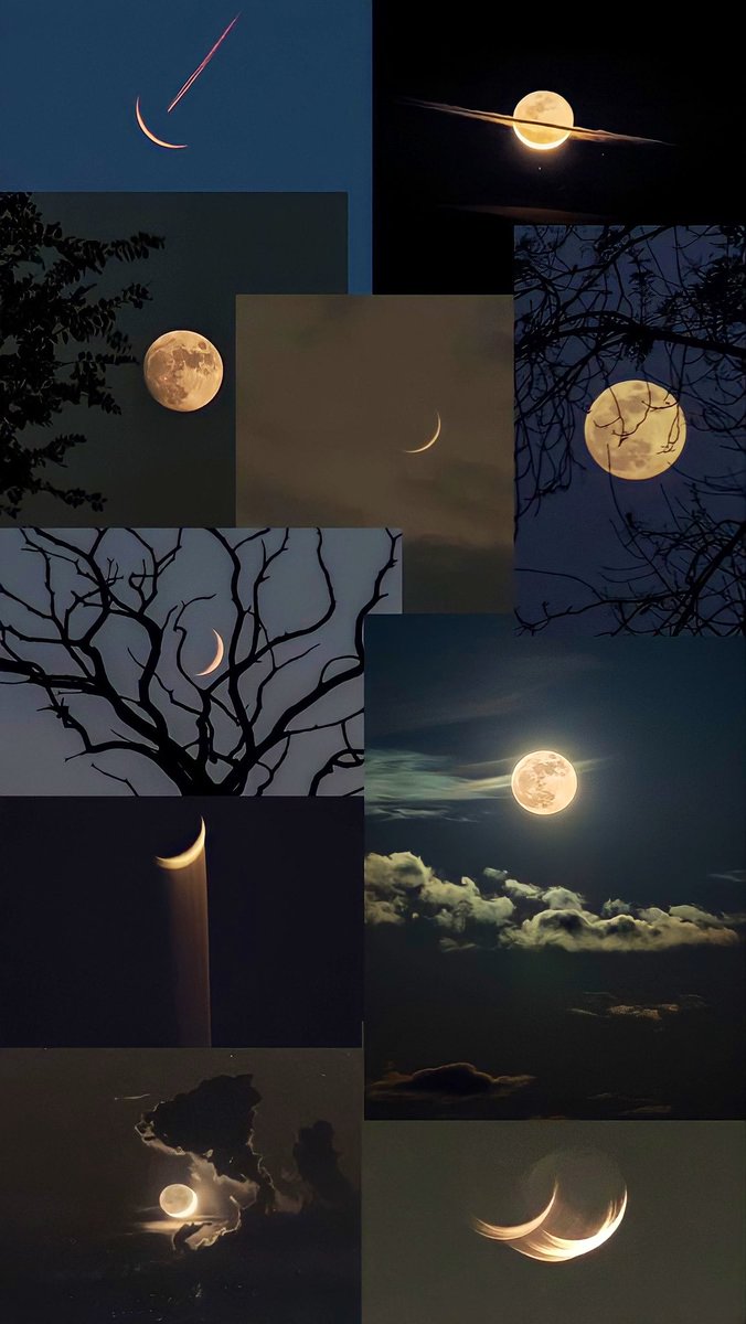 La Luna tweet media