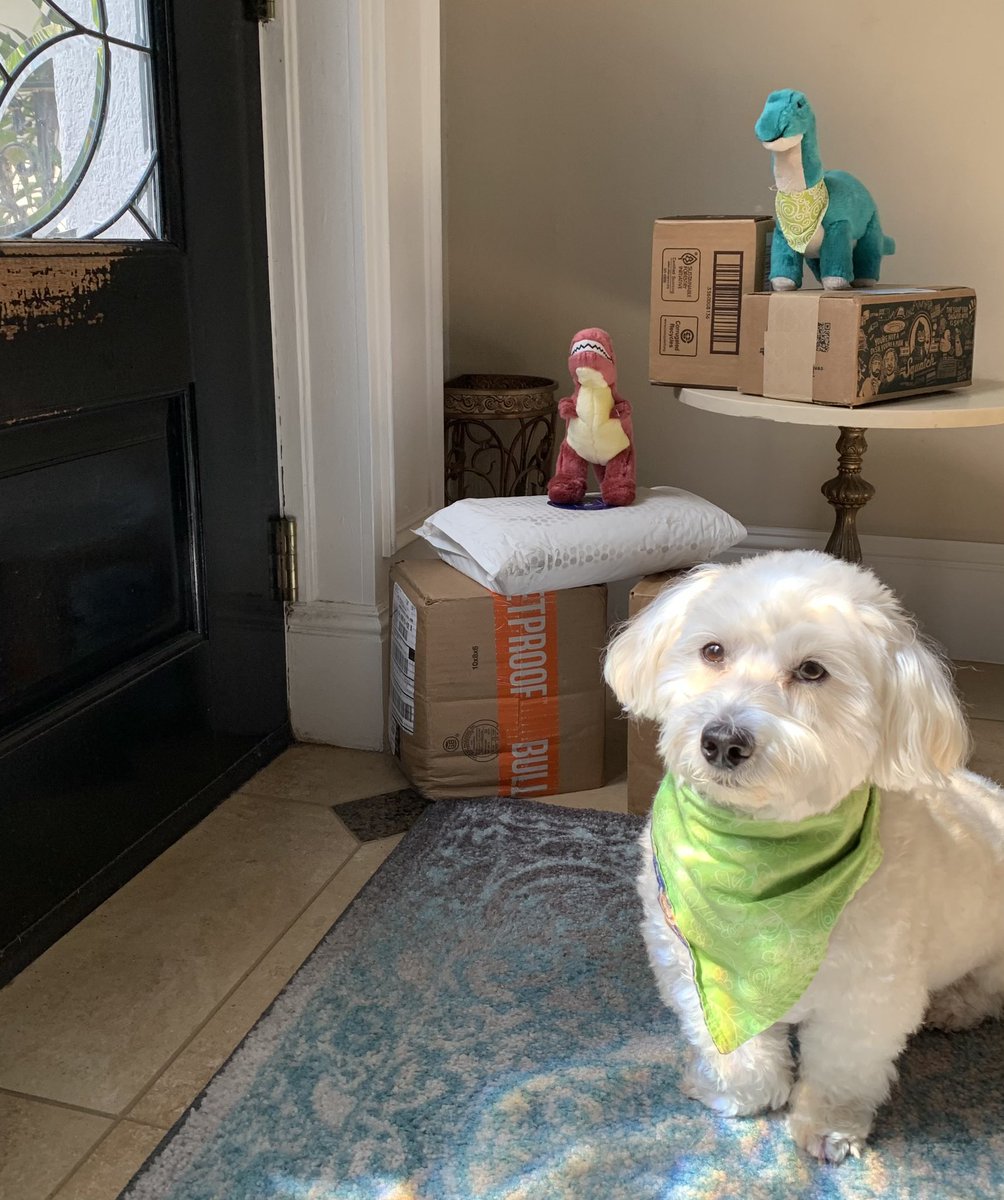 Sir Bailey tweet media