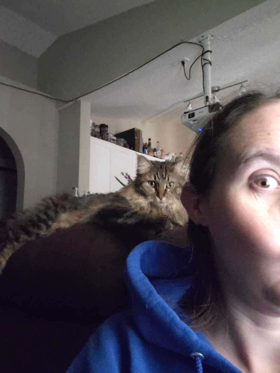 Always watching.