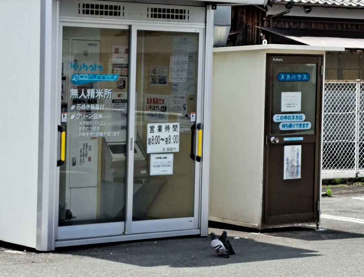 あかまつ日記vol. 248
「ハトも並ぶ美味しいお米」
#あかまつ日記　#日記マンガ https://t.co/SeZC7nPQMU