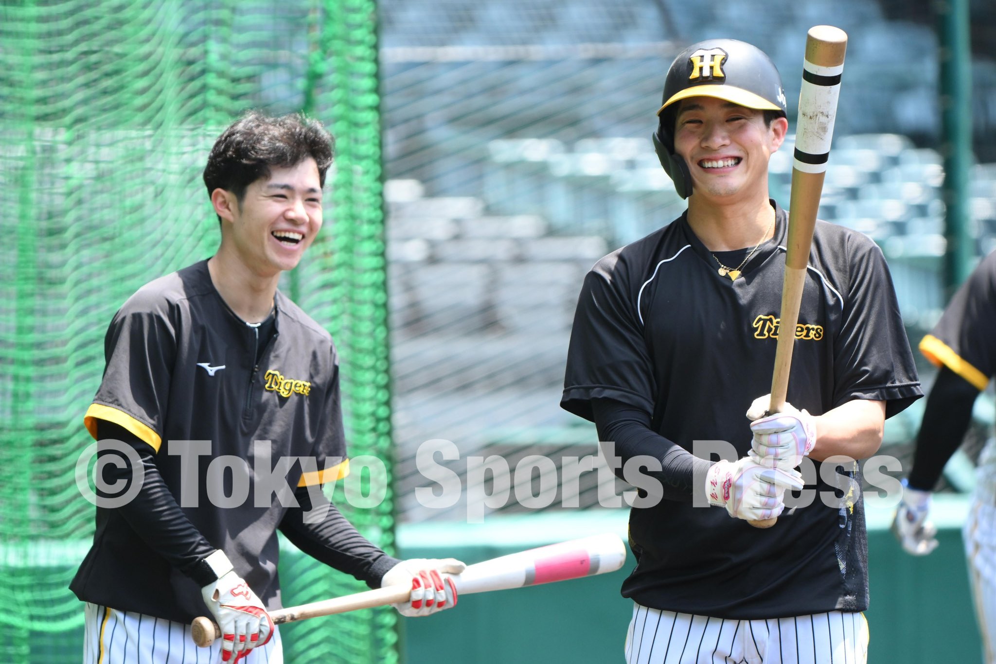 阪神タイガース　2023優勝記念DVD　中野拓夢　森下翔太　木浪聖也 阪神タイガース 2023優勝記念DVD 中野拓夢 森下翔太 木浪聖也