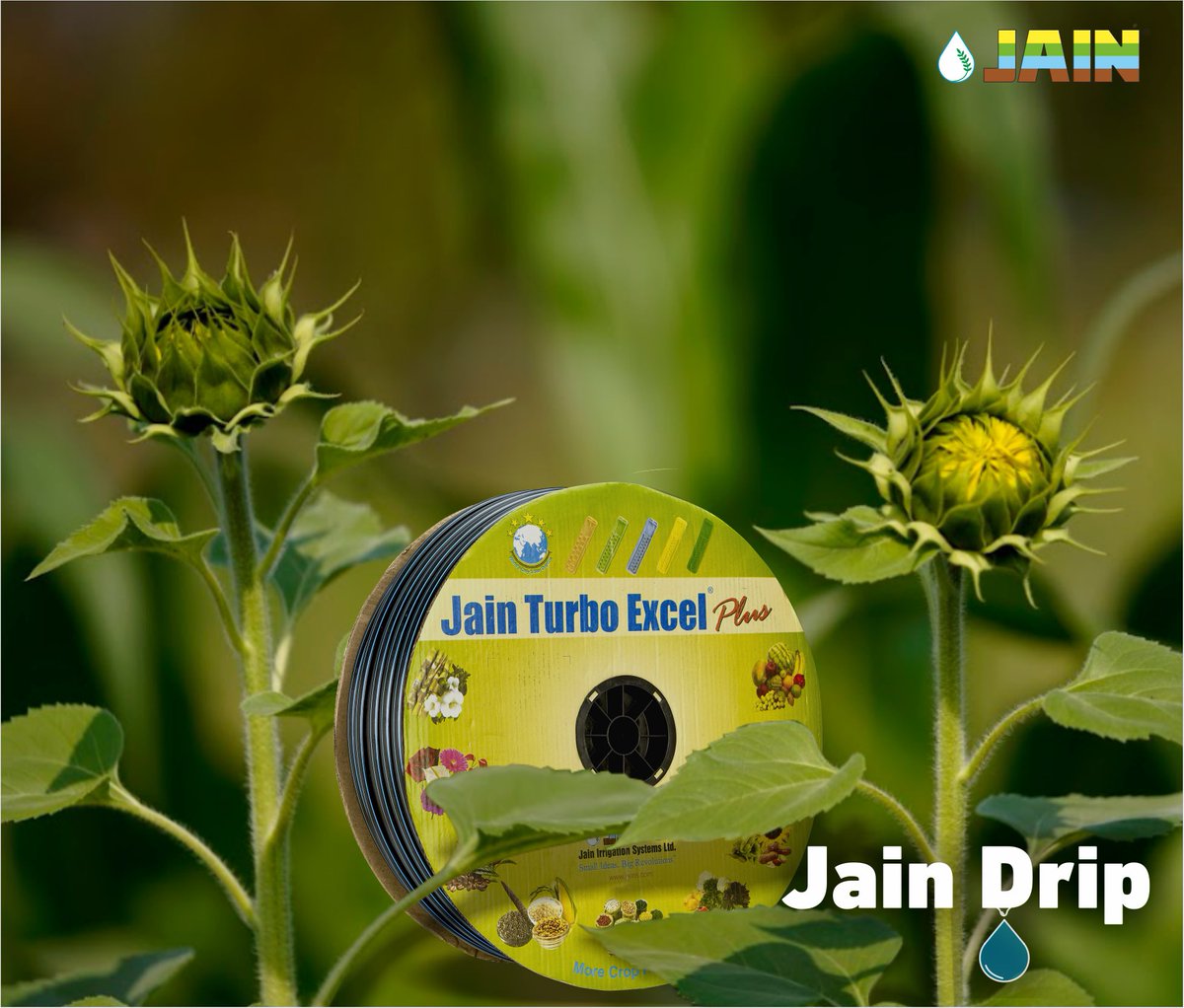 Let your farms glow brighter & shinier 🤩 with the touch of the advancements fetched by #JainTechnology🌻

#Sunflower farming with #JainDrip🌻✨

Say yes ✅ to drip irrigation with-
Less water💧utilisation ⬇️
Increase in efficiency⬆️

#JainDrip💧
#FarmersFirstChoice 🧑🏻‍🌾…