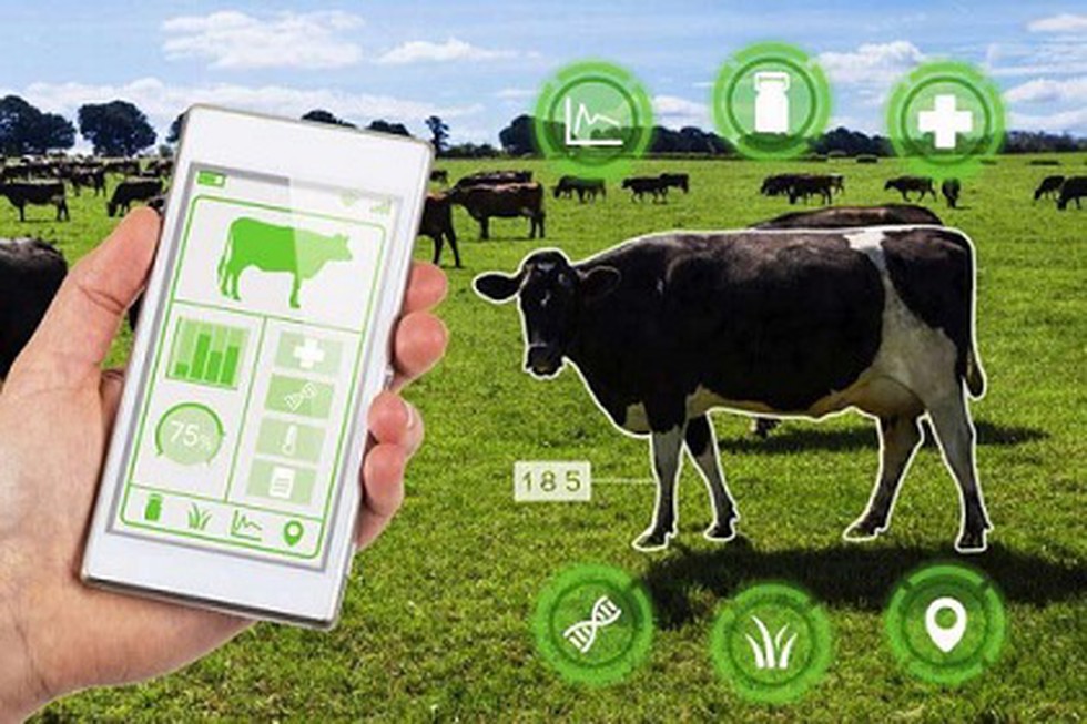 RisingKashmir's tweet photo. #GoI announces #BharatPashudhan-#National #Digital #Livestock #Mission in #JK
The #mission #aims to #create a #farmer-#centric #ecosystem #driven by #technology: #Dulloo
Reports @SyedaRafiyah
@OfficeOfLGJandK
@manojsinha_
@diprjk
https://t.co/GwsUChKguj https://t.co/O4Nww7n2HD