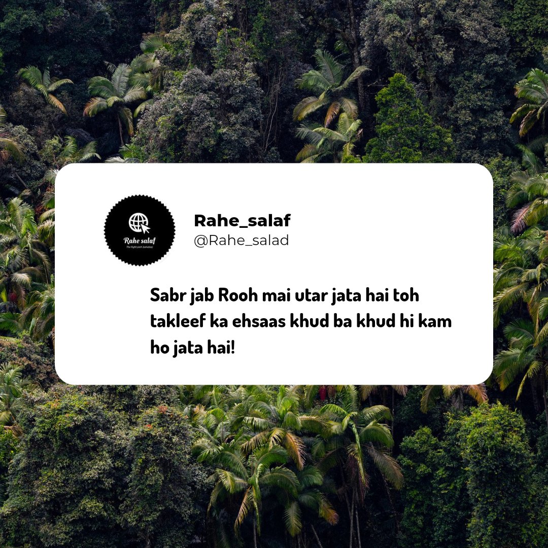 Rahe_salaf's tweet photo. Sabr se behtar dawa koi nhi, Sabr se behtar jaza koi nhi! Sabr karne walon ka rutba bada hota hai aur jisey Sabr aajata hai usey kisi baat ka malal nhi rehta! ~MK~

#rahe_salaf
#Rahe_salaf
.
Follow -@Rahe_salaf https://t.co/31MUtyf3VY