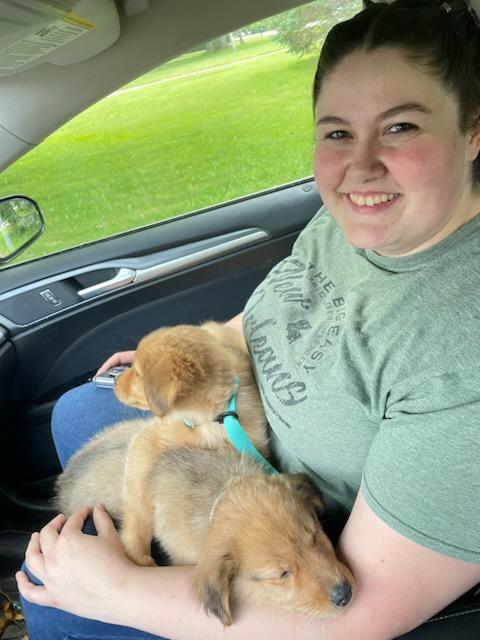 Melly_1718's tweet photo. I got to see puppies today. I almost cried because they were so small. https://t.co/d0CzEgrQ27