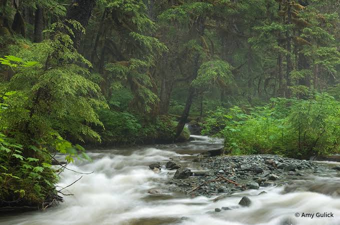 "Life is a beautiful tapestry woven with moments of joy, challenges that strengthen us, and connections that make our hearts dance. Embrace every thread, cherish the colors, and create a masterpiece worth living". #LifeIsArt #EmbraceEveryMoment