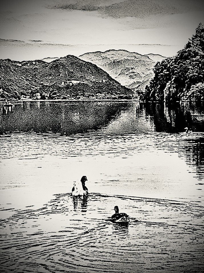 #derwentwater #keswick #blackandwhitephotography