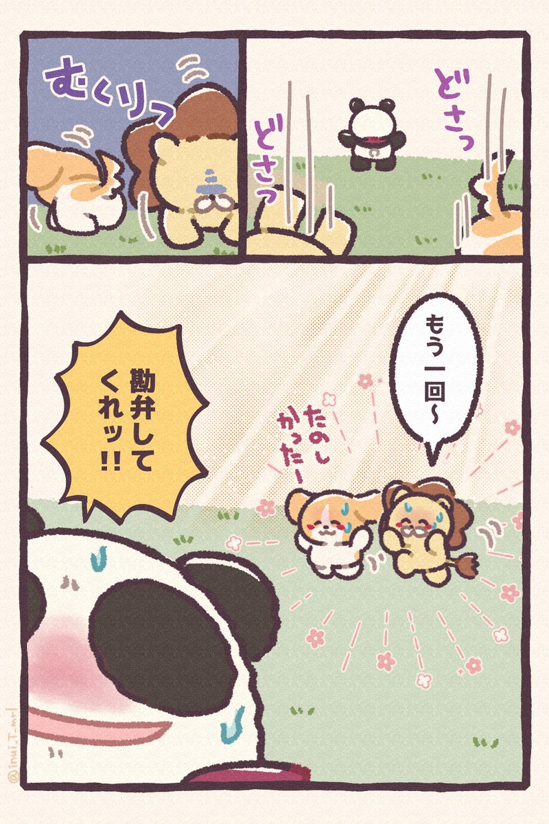 (っ🐼)╮=͟͟͞͞🦁🐶  #あにまるZOO⑯ #イラスト #漫画が読めるハッシュタグ