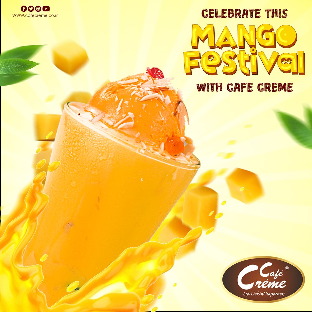 Celebrate Mangoes at Cafe Creme. 

Visit Cafe Creme &amp; enjoy this Mango season. 

To know more visit website cafecreme.co.in 

#CafeCreme |  #CafeFranchise | #CafeBusiness |#FruitShakes | #ChocoShots |#browni | #Mastani | #Junket | #Mango | #MangoMastani | #Mangofestival