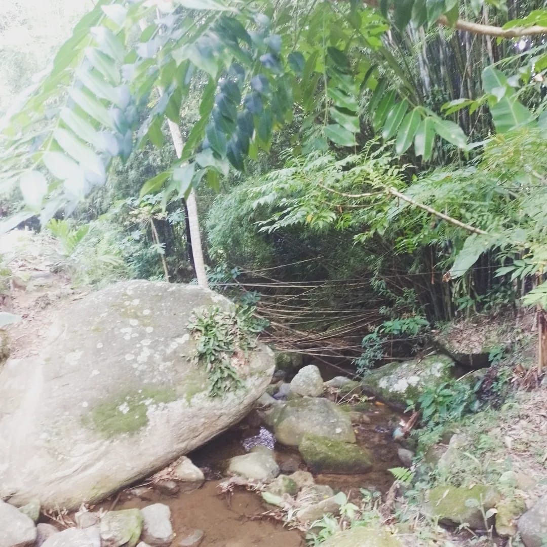Appreciating nature is divine