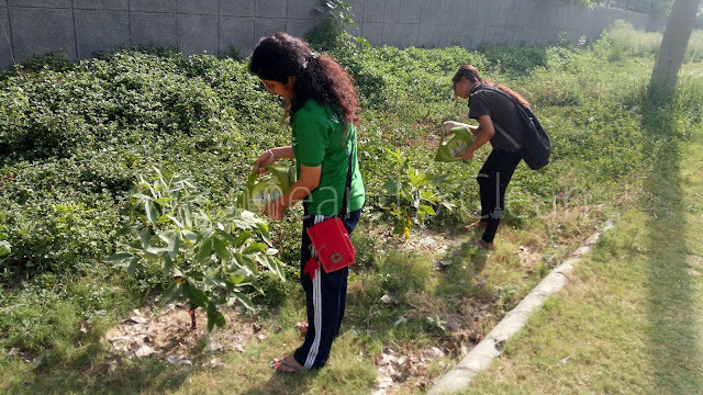 ManishKhurana's tweet photo. Every day is #WorldEnvironmentDay for us
Read: https://t.co/Zm0bB6OC84
#WeMeanToClean #CleanDelhi #SwachhBharat #AirPollution #DelhiPollution #Green #GlobalWarming #ClimateChange #Shramdaan #Afforestation #ClimateAction #WMTCBlog https://t.co/EIxqP4mIBj